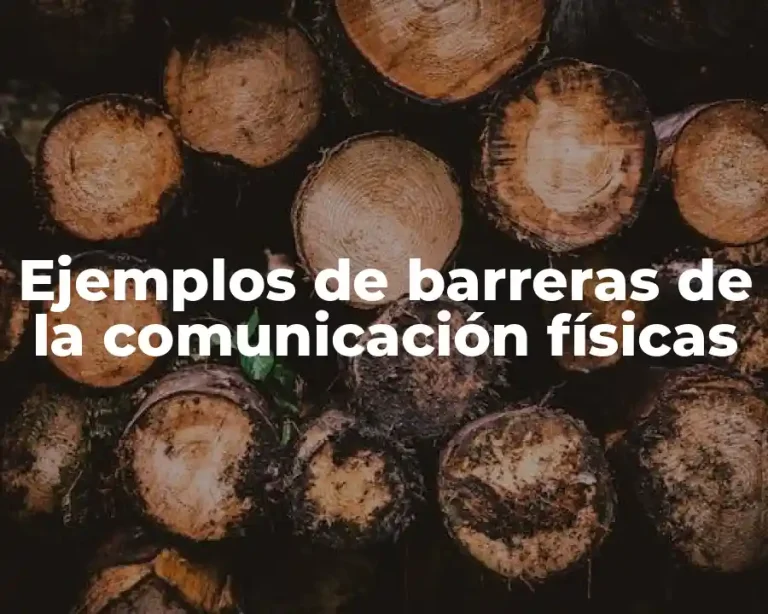 Ejemplos de barreras de la comunicación físicas