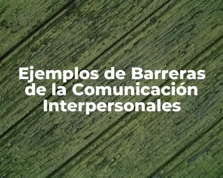 Ejemplos de Barreras de la Comunicación Interpersonales