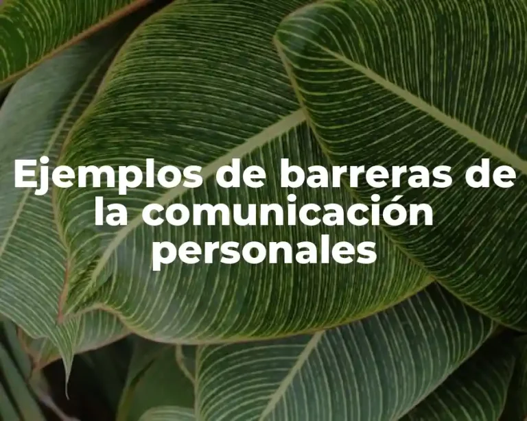 Ejemplos de barreras de la comunicación personales