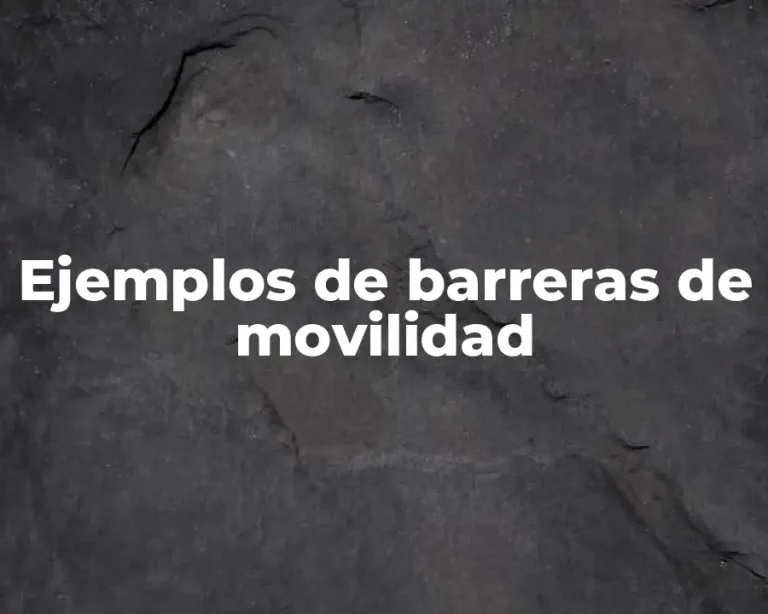 Ejemplos de barreras de movilidad