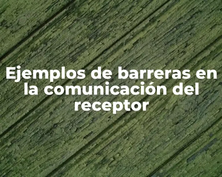 Ejemplos de barreras en la comunicación del receptor