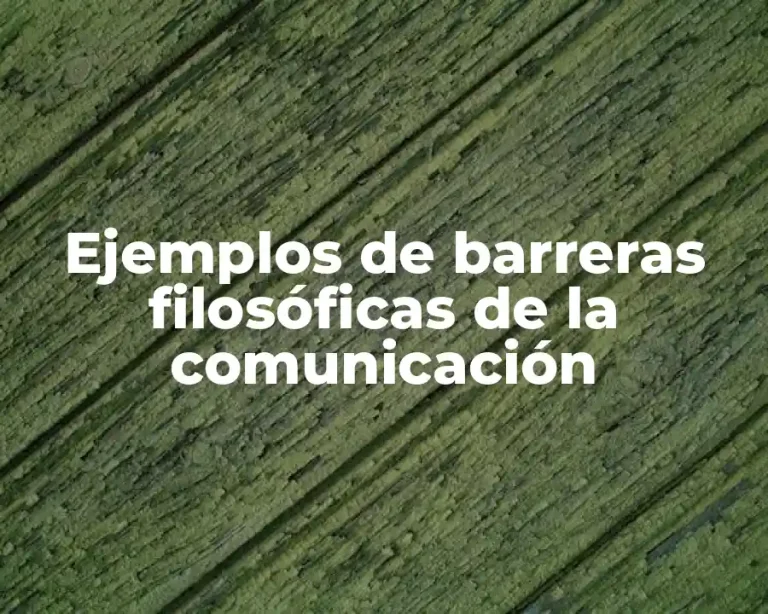 Ejemplos de barreras filosóficas de la comunicación