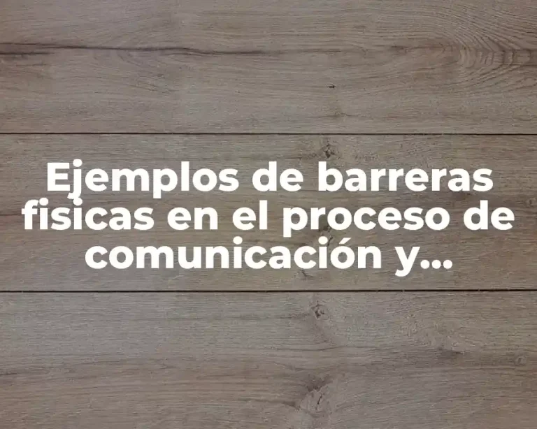 Ejemplos de barreras fisicas en el proceso de comunicación y Significado