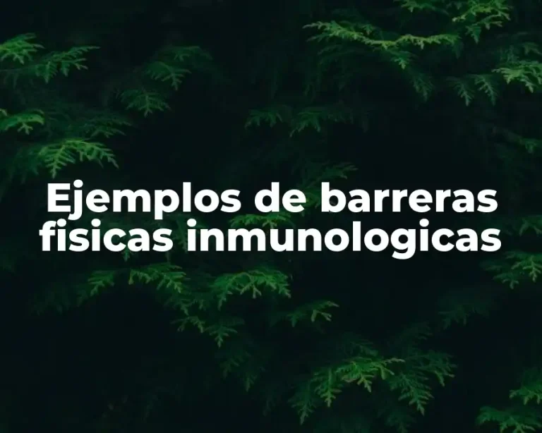Ejemplos de barreras fisicas inmunologicas