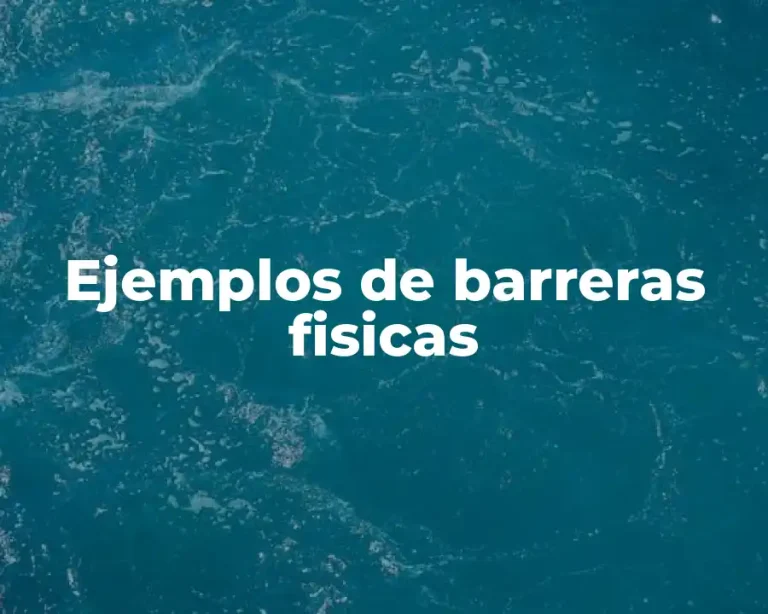 Ejemplos de barreras fisicas
