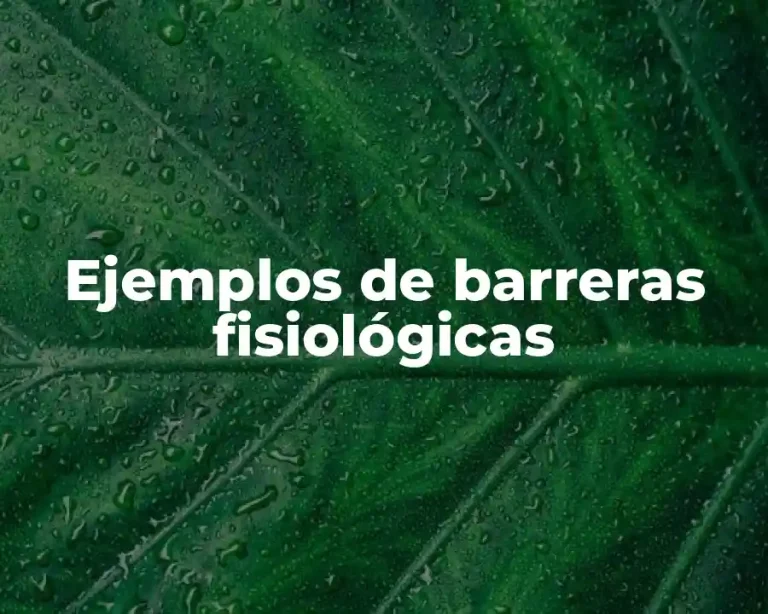 Ejemplos de barreras fisiológicas