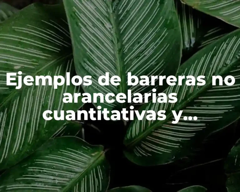 Ejemplos de barreras no arancelarias cuantitativas y cualitativas