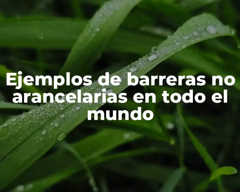 Ejemplos de barreras no arancelarias en todo el mundo