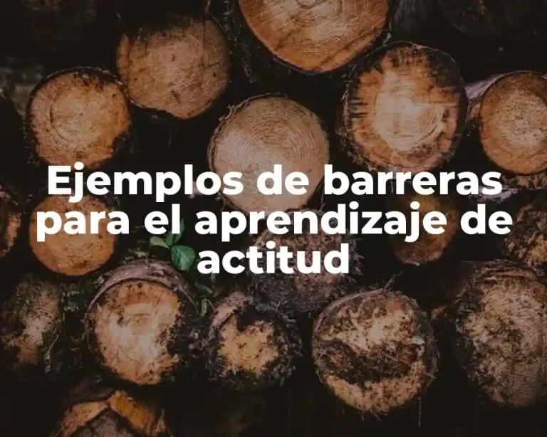 Ejemplos de barreras para el aprendizaje de actitud