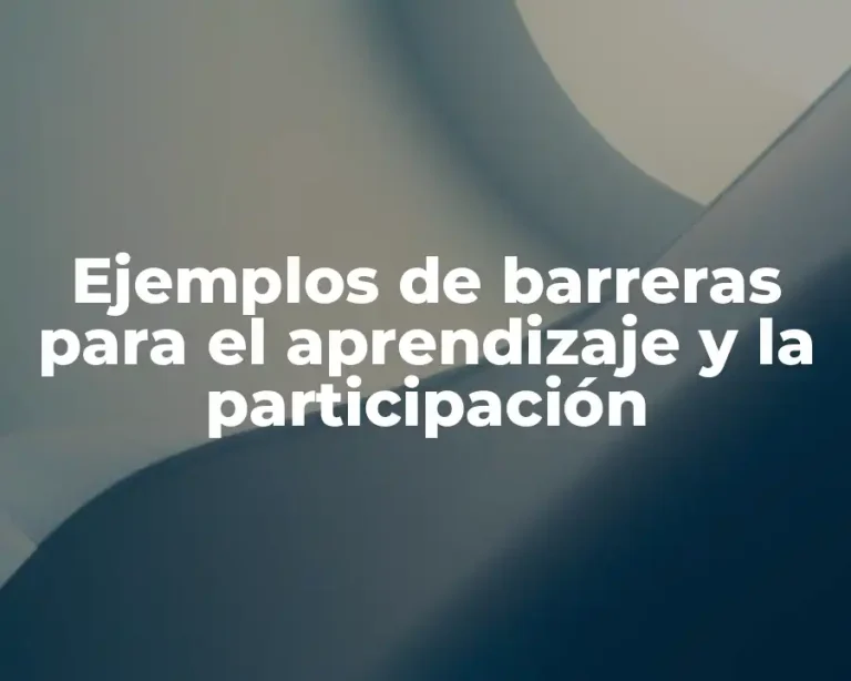 Ejemplos de barreras para el aprendizaje y la participación