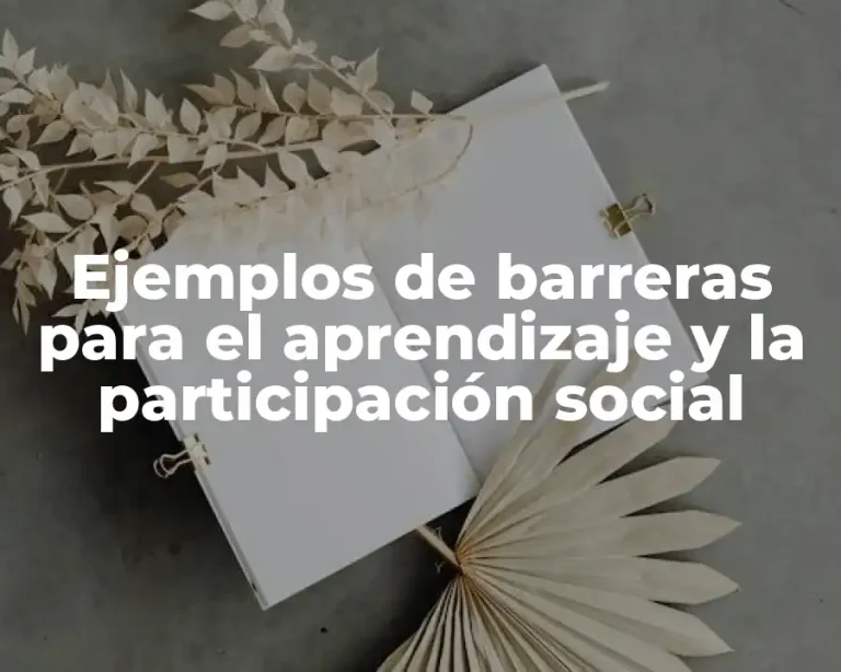 Ejemplos de barreras para el aprendizaje y la participación social