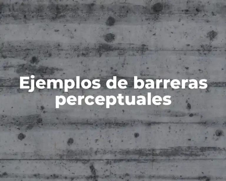 Ejemplos de barreras perceptuales
