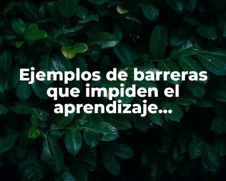 Ejemplos de barreras que impiden el aprendizaje organizacional