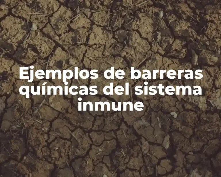 Ejemplos de barreras químicas del sistema inmune