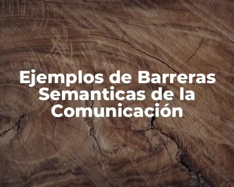 Ejemplos de Barreras Semanticas de la Comunicación