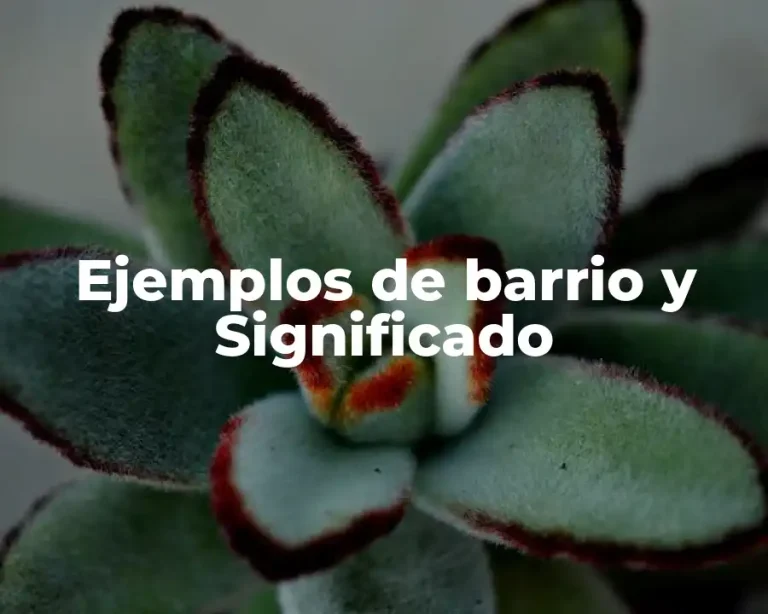 Ejemplos de barrio y Significado