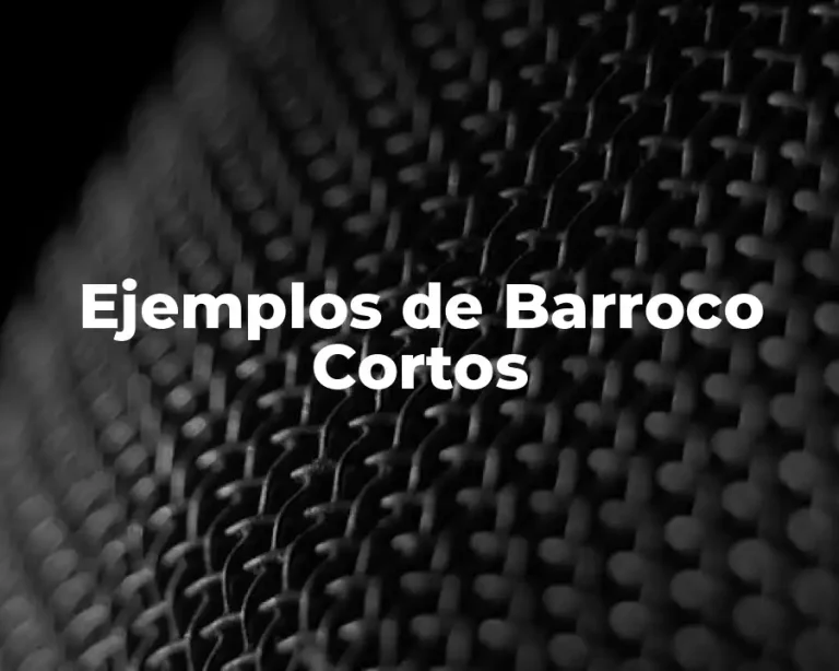 Ejemplos de Barroco Cortos