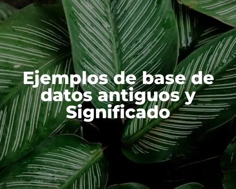 Ejemplos de base de datos antiguos y Significado