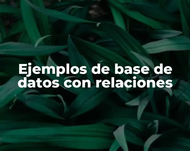 Ejemplos de base de datos con relaciones