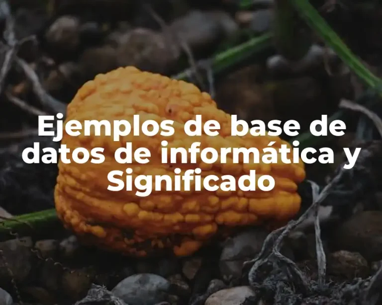 Ejemplos de base de datos de informática y Significado