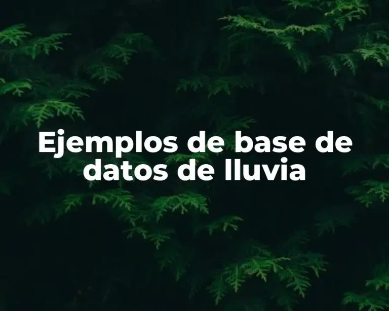 Ejemplos de base de datos de lluvia
