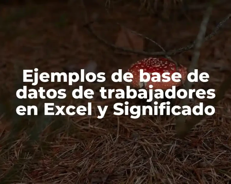 Ejemplos de base de datos de trabajadores en Excel y Significado