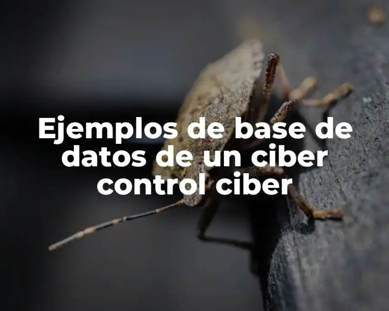 Ejemplos de base de datos de un ciber control ciber