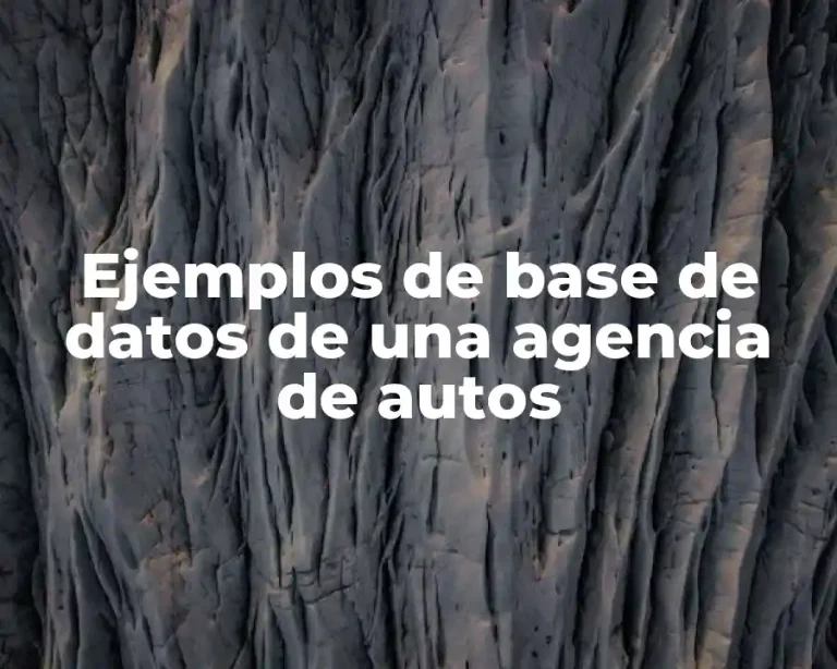 Ejemplos de base de datos de una agencia de autos