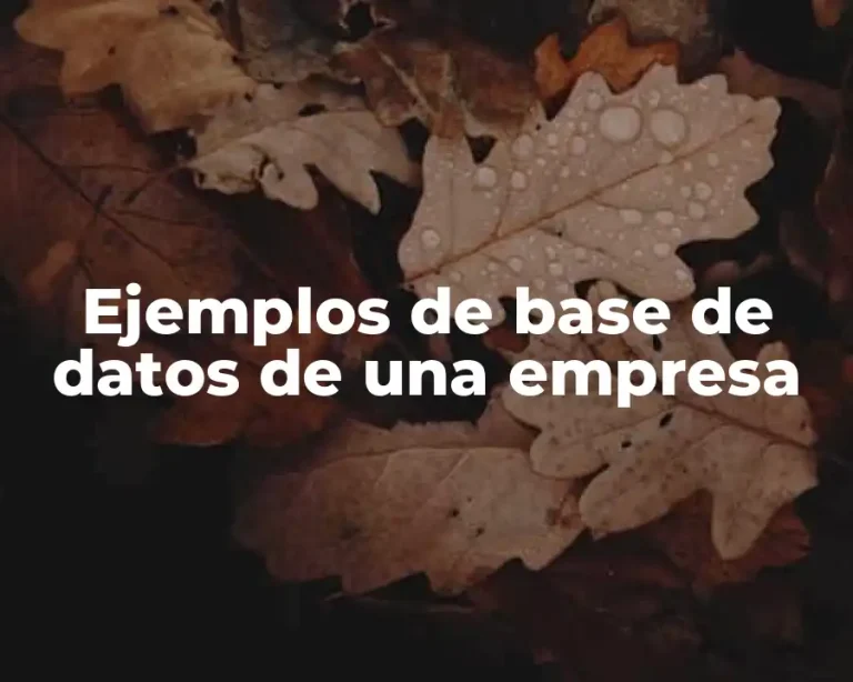 Ejemplos de base de datos de una empresa