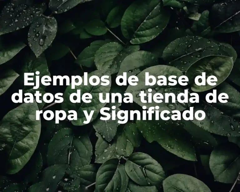 Ejemplos de base de datos de una tienda de ropa y Significado