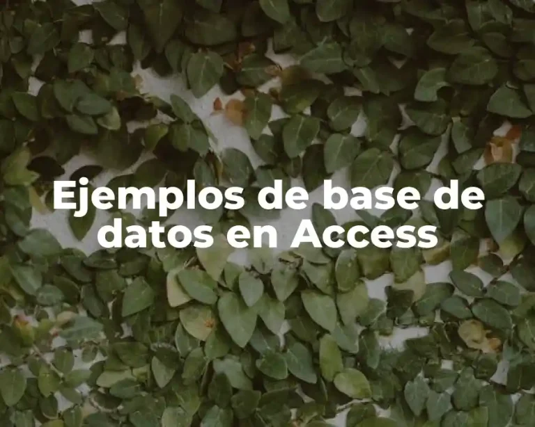 Ejemplos de base de datos en Access