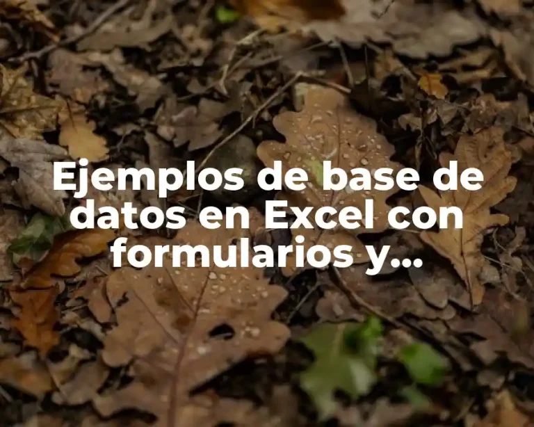 Ejemplos de base de datos en Excel con formularios y Significado