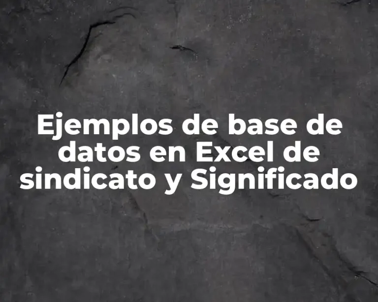 Ejemplos de base de datos en Excel de sindicato y Significado