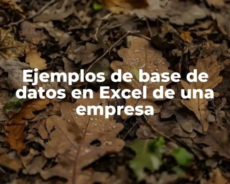 Ejemplos de base de datos en Excel de una empresa
