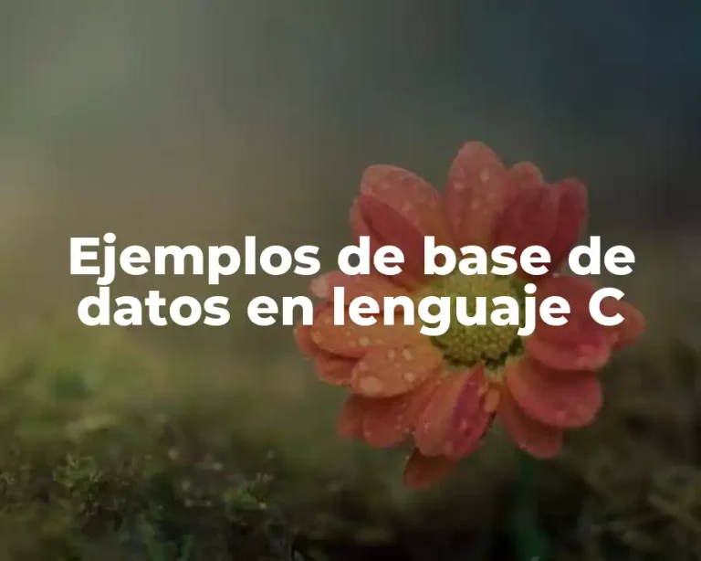 Ejemplos de base de datos en lenguaje C