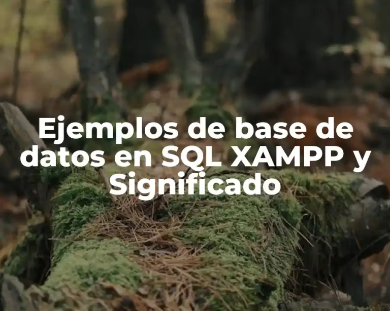 Ejemplos de base de datos en SQL XAMPP y Significado