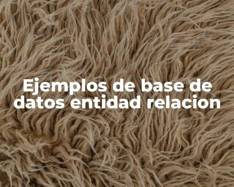Ejemplos de base de datos entidad relacion
