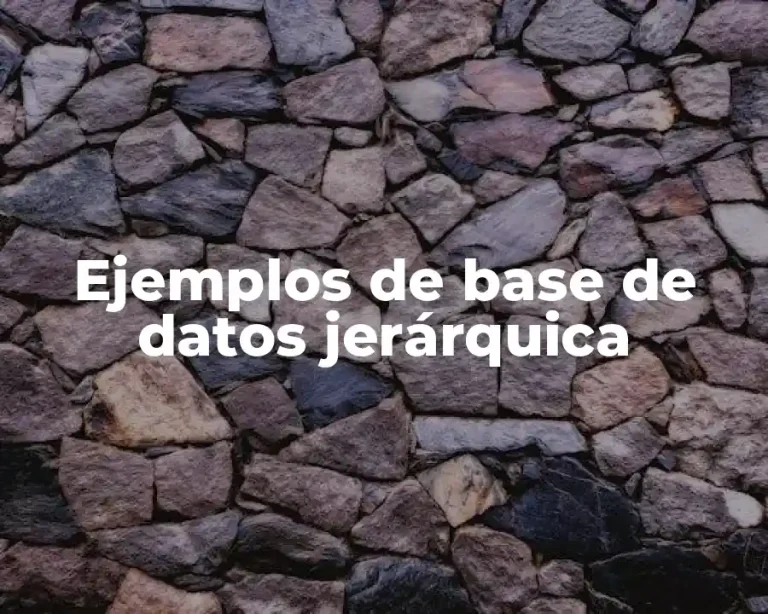Ejemplos de base de datos jerárquica