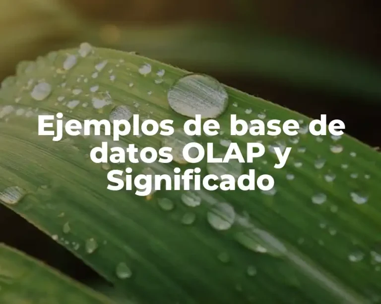 Ejemplos de base de datos OLAP y Significado