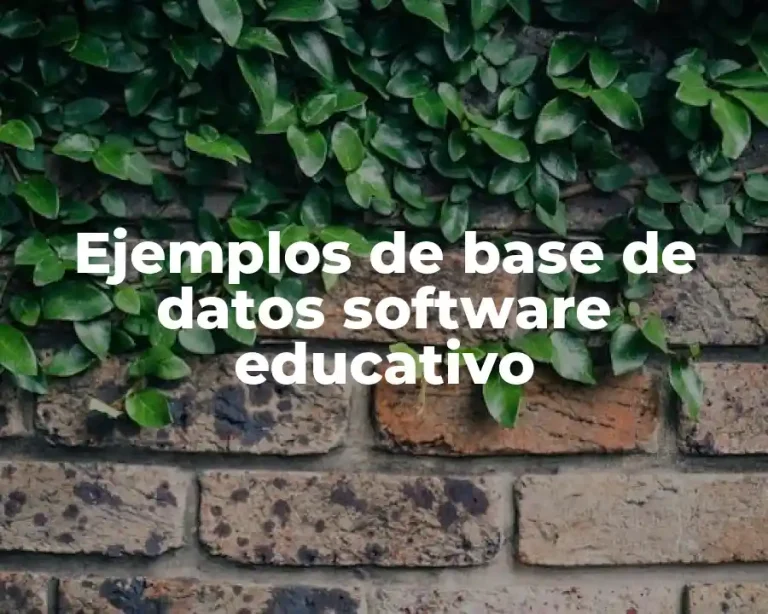 Ejemplos de base de datos software educativo