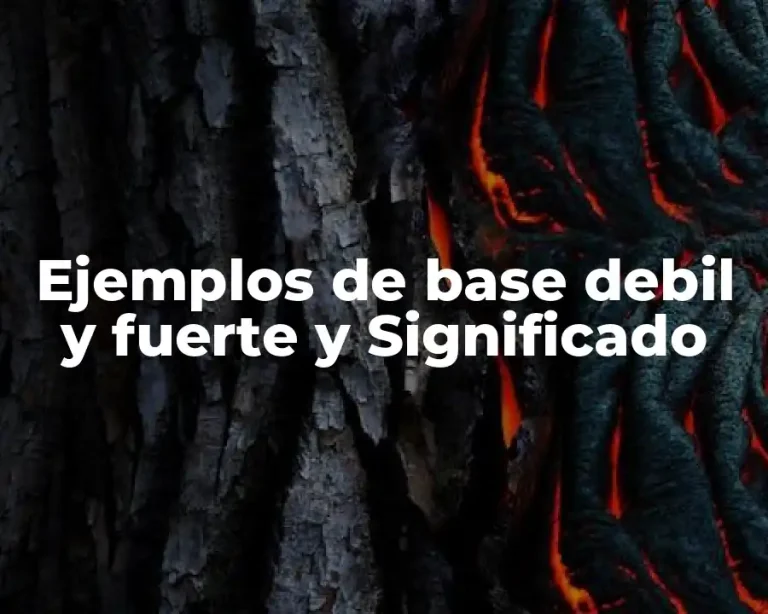 Ejemplos de base debil y fuerte y Significado