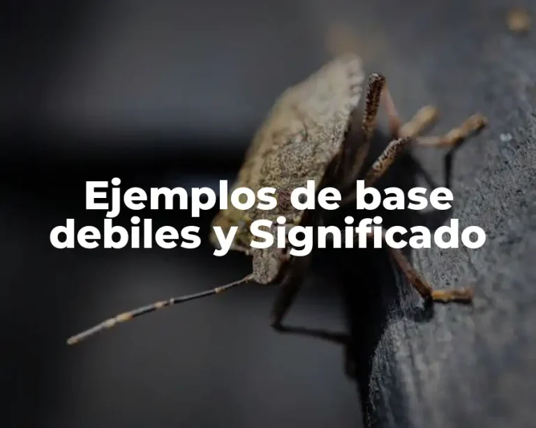 Ejemplos de base debiles y Significado