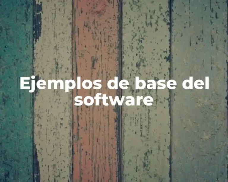 Ejemplos de base del software