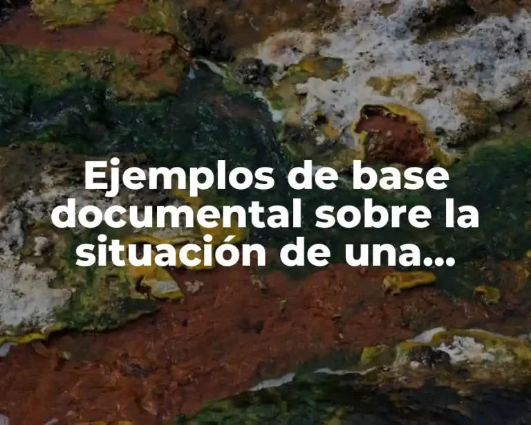 Ejemplos de base documental sobre la situación de una empresa