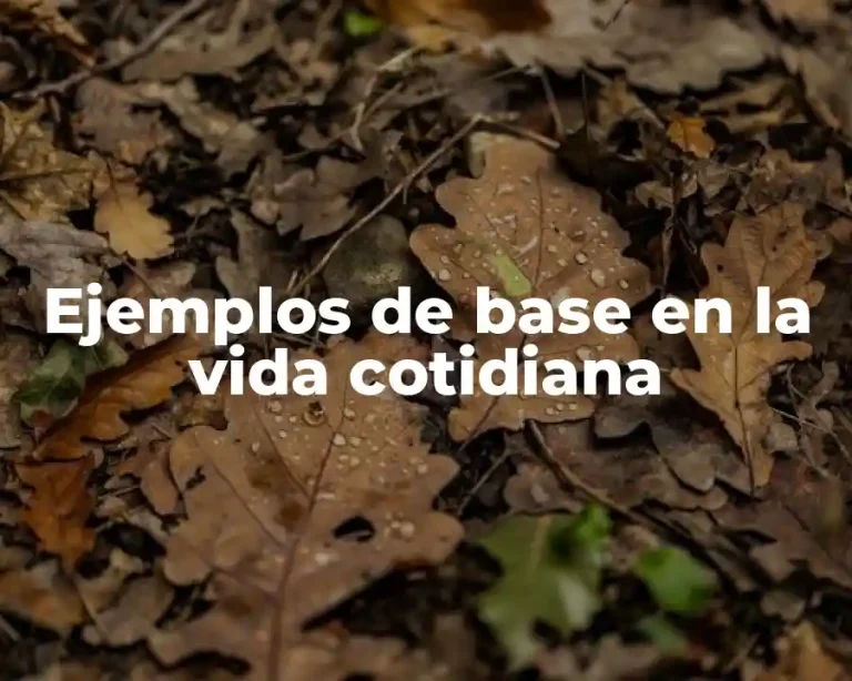 Ejemplos de base en la vida cotidiana