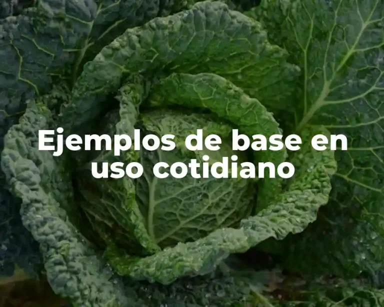 Ejemplos de base en uso cotidiano