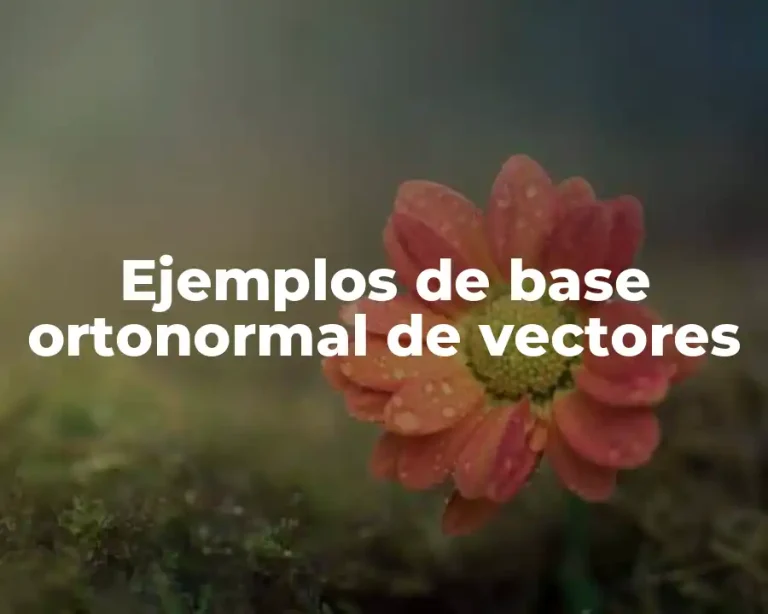Ejemplos de base ortonormal de vectores