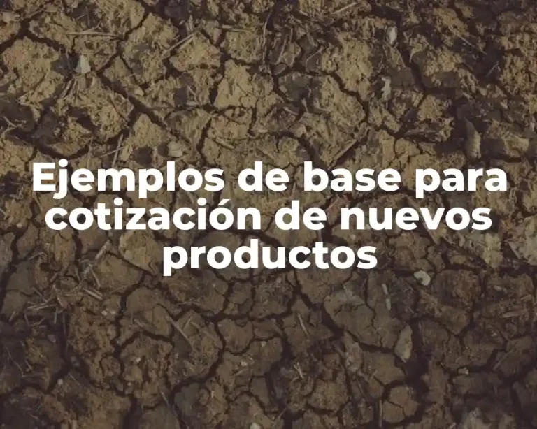 Ejemplos de base para cotización de nuevos productos