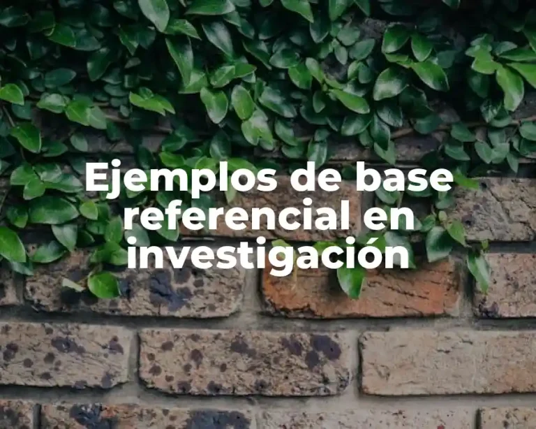 Ejemplos de base referencial en investigación