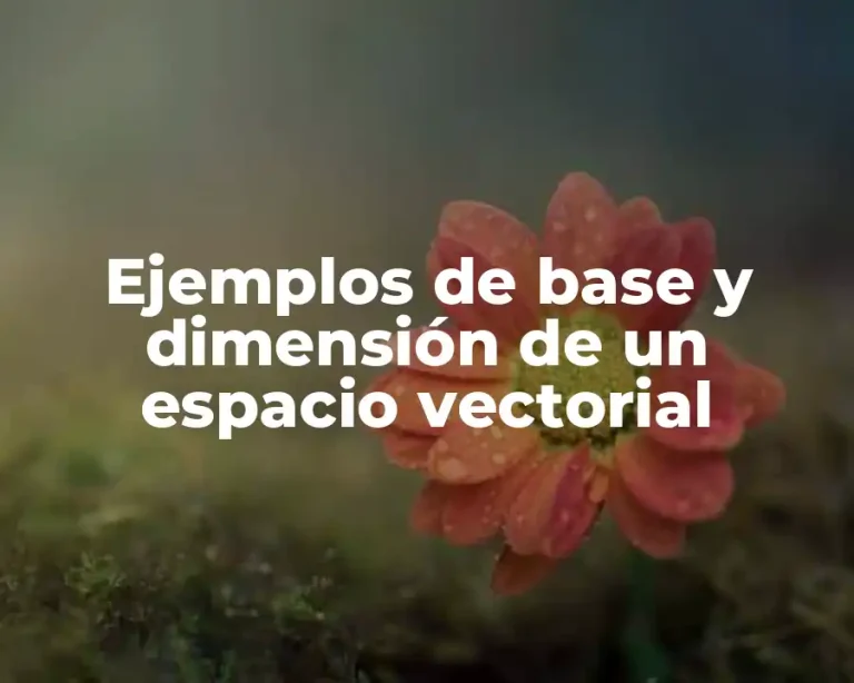 Ejemplos de base y dimensión de un espacio vectorial
